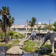 La Brea Tar Pits