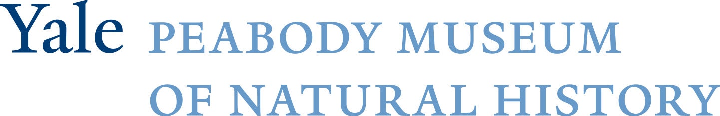 YalePeabodyLogo Yale Peabody Museum Logo